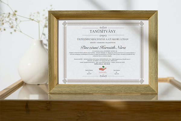 Erzelemszabalyozas_Nora